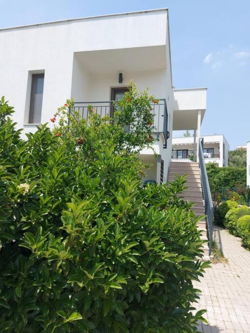 Luxurious Apartment In Bodrum ภายนอก รูปภาพ